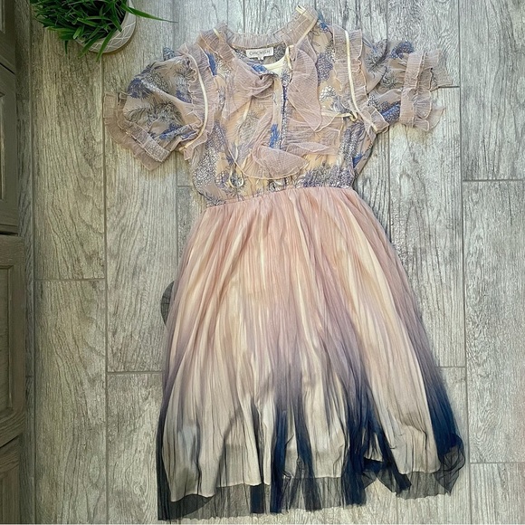 Chicwish We Know it All Gradient Pleated Mesh Tulle Dress - Picture 8 of 10